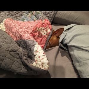 Meet your Posher, Cheryl